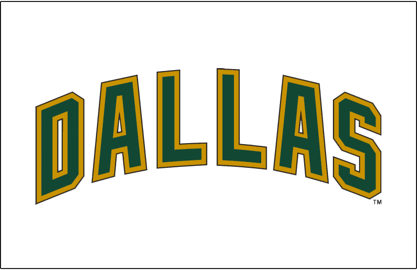 Dallas Stars 2008-2013 Jersey Logo iron on transfers for T-shirts